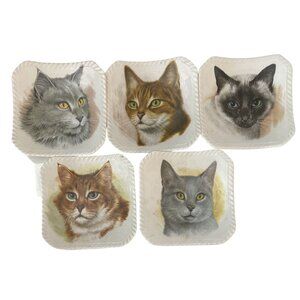 Cat Kittens Kitties 5 Trinket Trays Royal Adderley Bone China Made in England